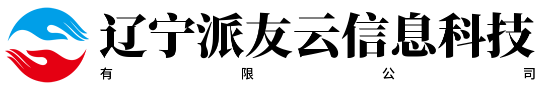 辽宁派友云信息科技有限公司